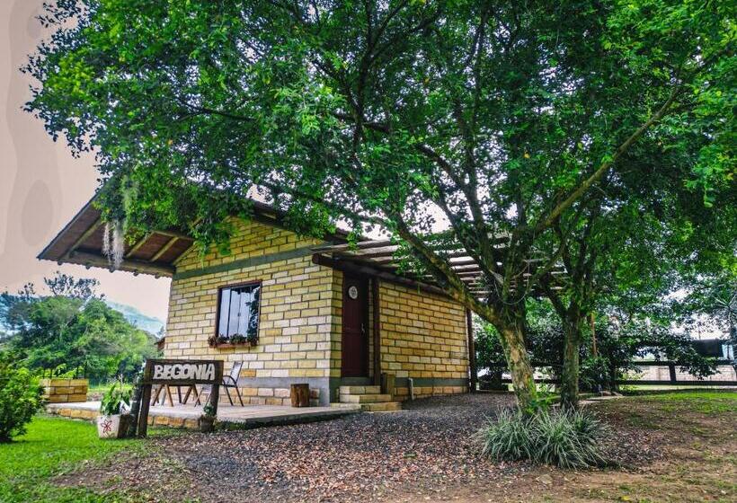 פנסיון Pousada Equilíbrio Dos Canyons