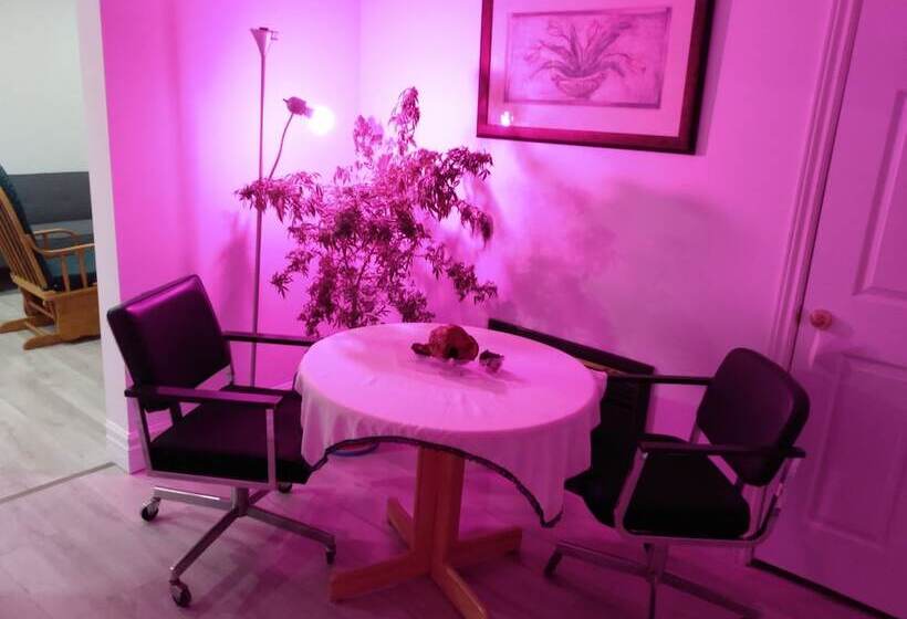 Healing Touch Holistic Living Space