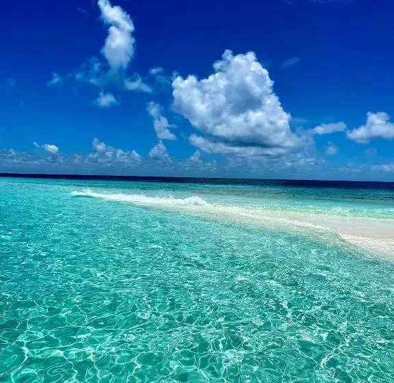 هتل Samura Panorama Guest House