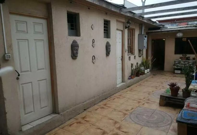 هاستل Hostal Cactus