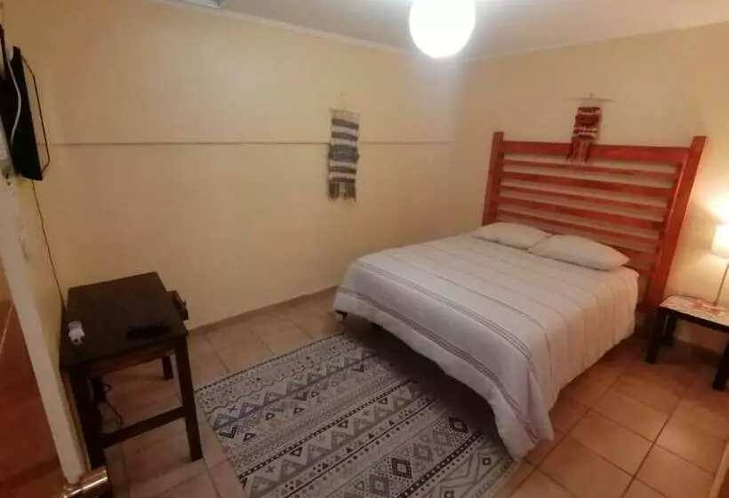 هاستل Hostal Cactus