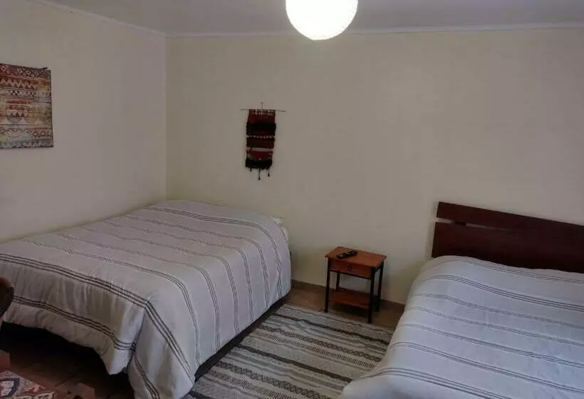 هاستل Hostal Cactus