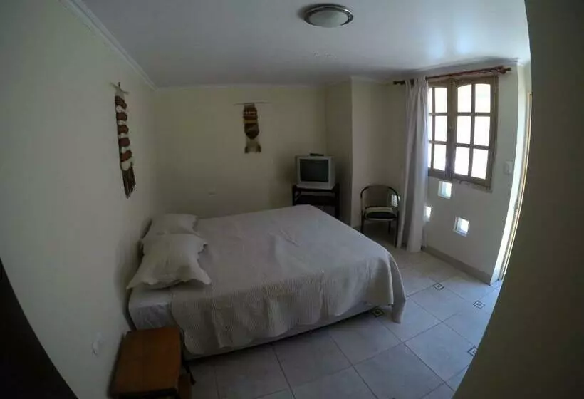 هاستل Hostal Cactus