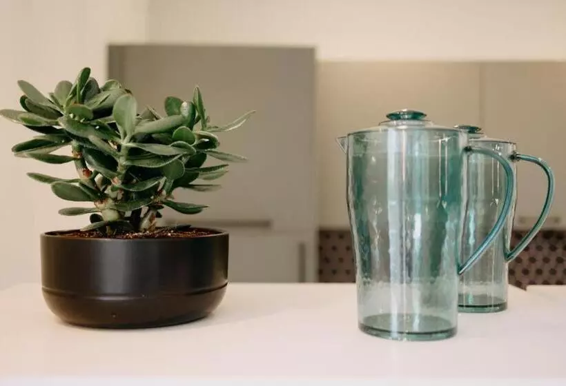 تختخواب و صبحانه Gli Ulivi Rooms And Breakfast