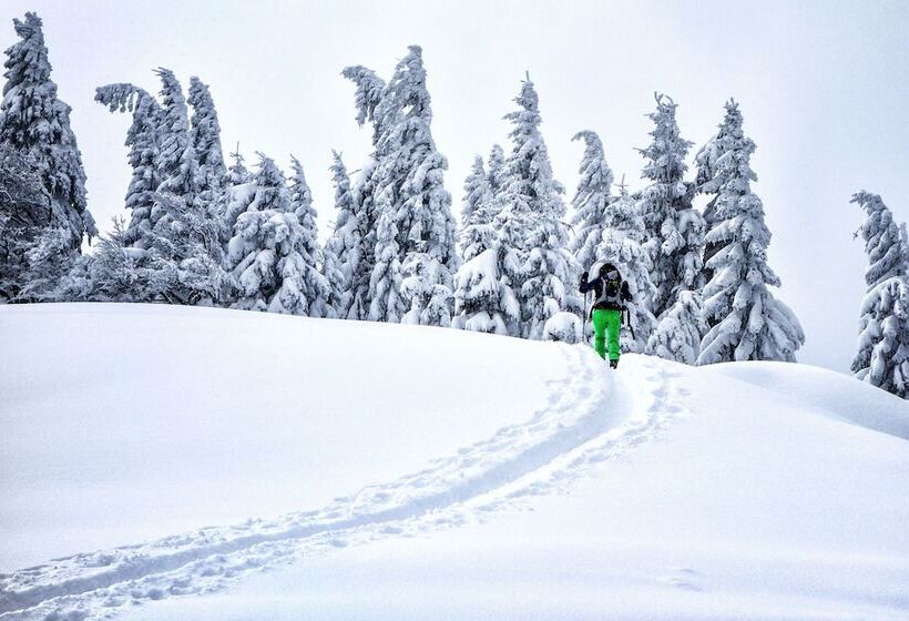 Hideaway Hotel Montestyria Chalets & Suiten