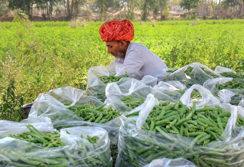 Pushkarorganic   Lux Farm Resort With Pool