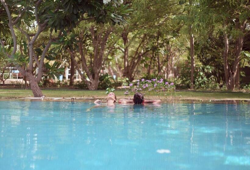 Pushkarorganic   Lux Farm Resort With Pool