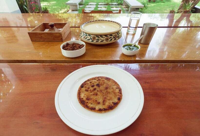 Pushkarorganic   Lux Farm Resort With Pool