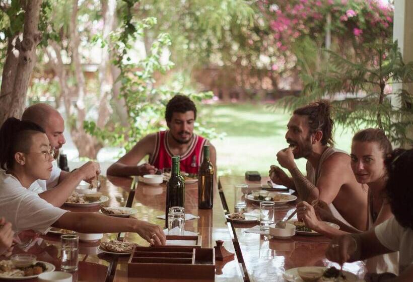 Pushkarorganic   Lux Farm Resort With Pool