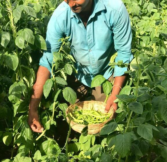 Pushkarorganic   Lux Farm Resort With Pool