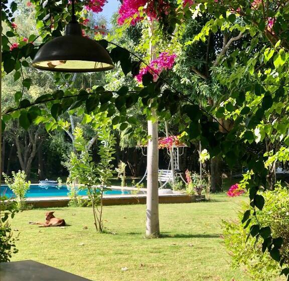 Pushkarorganic   Lux Farm Resort With Pool