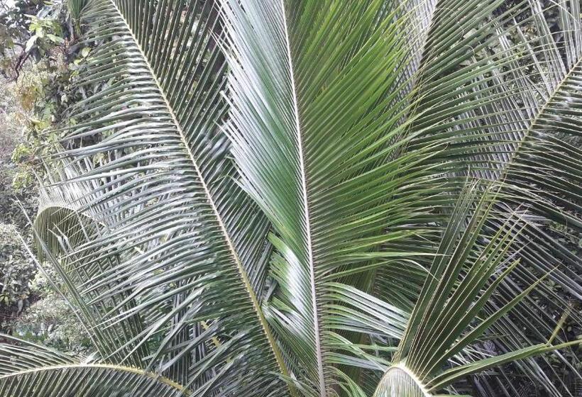 Hotel Bang Son Golden View