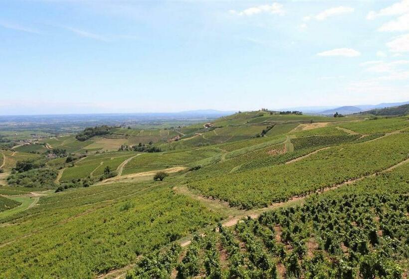 פנסיון Tiny House Au Cœur Du Vignoble Beaujolais