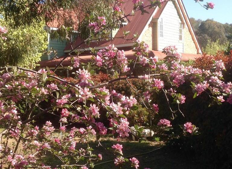 Hawk S Nest Bed & Breakfast