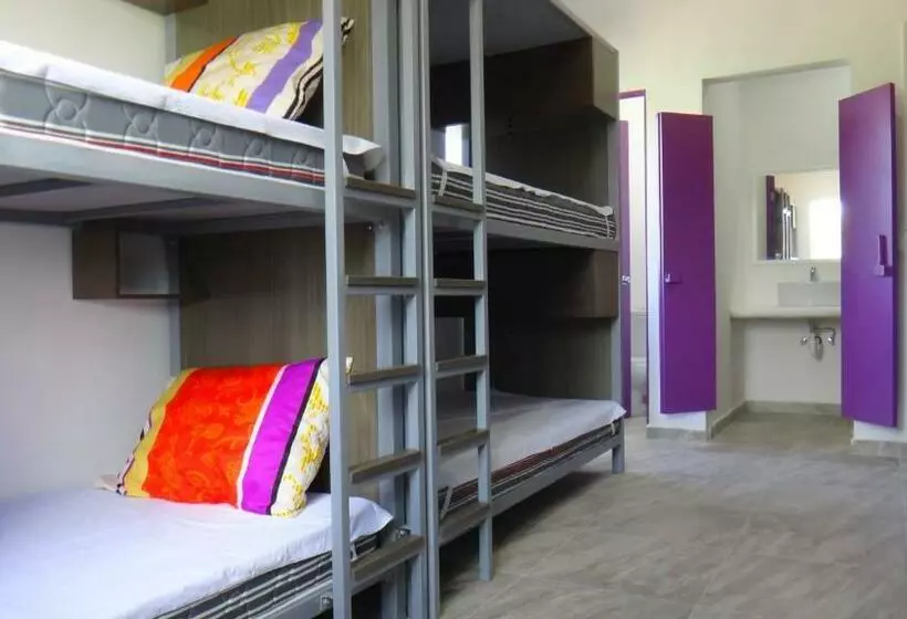 Hostel Humanity