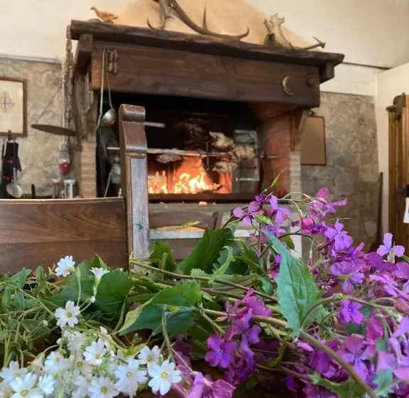 ホテル Agriturismo Poggio Alla Luna