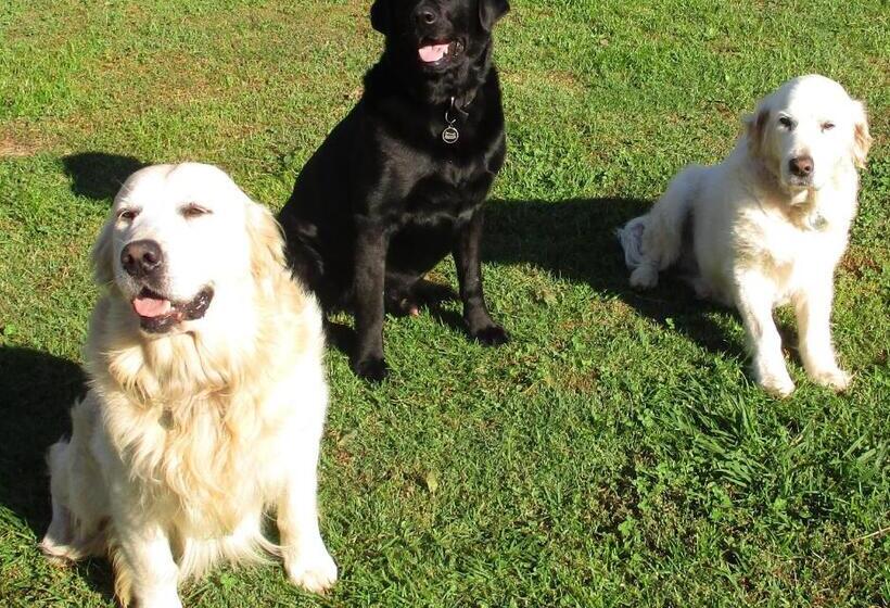 膳宿费 The Bungalow At Nunyara