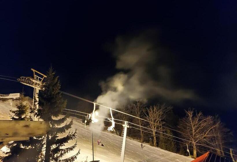 Pensiunea Luca Straja