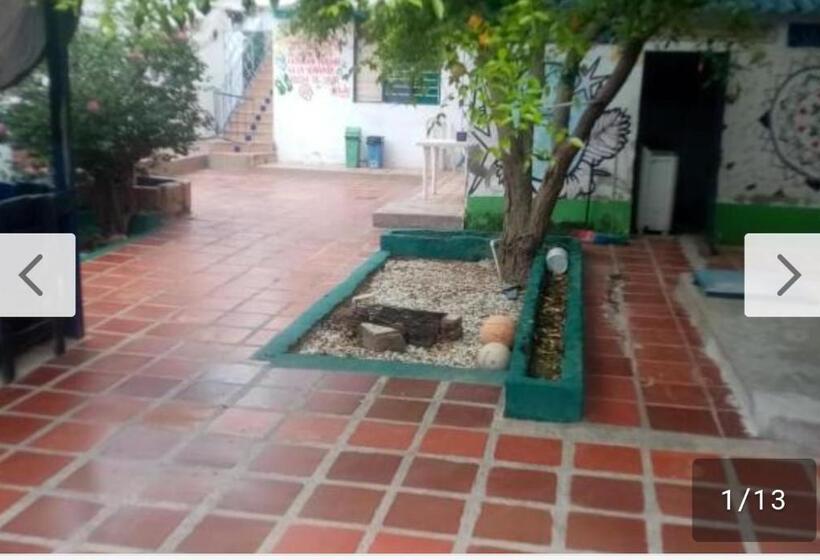 هاستل Hostal Alquimista