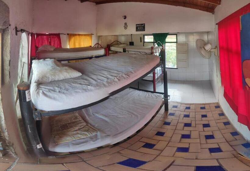 هاستل Hostal Alquimista