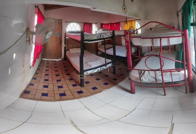 هاستل Hostal Alquimista