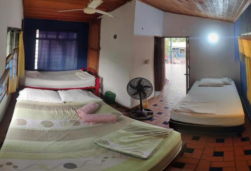 هاستل Hostal Alquimista