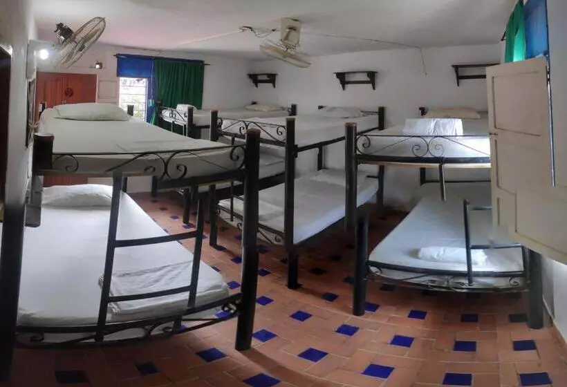 Retkeilymaja Hostal Alquimista