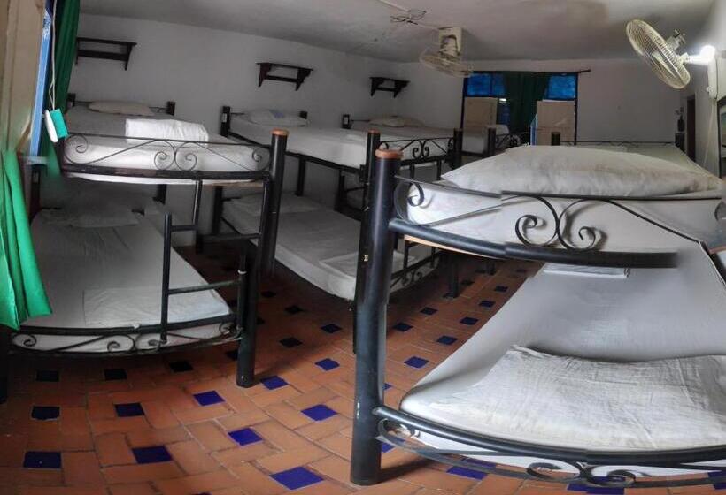 هاستل Hostal Alquimista