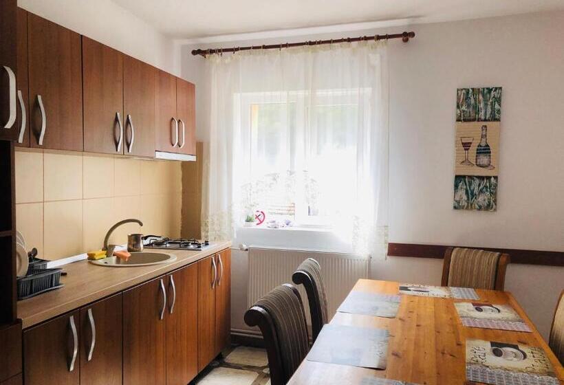 בית מלון כפרי Pensiunea Sport