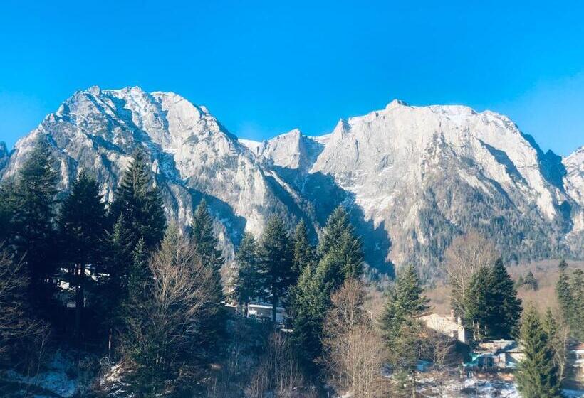 בית מלון כפרי Pensiunea Sport