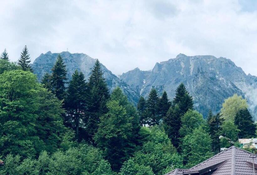 בית מלון כפרי Pensiunea Sport