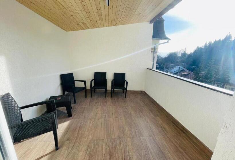 בית מלון כפרי Pensiunea Sport