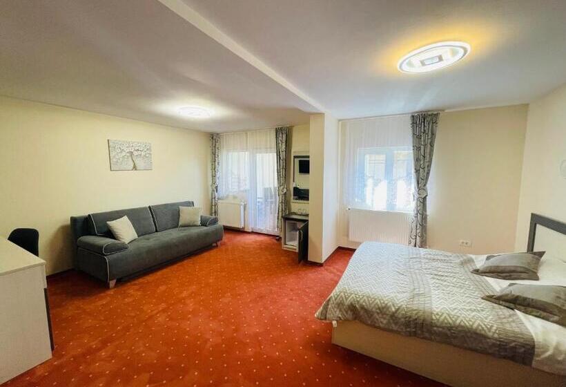 בית מלון כפרי Pensiunea Sport