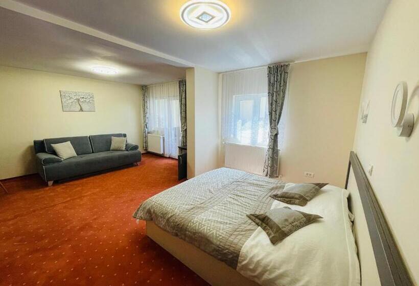 בית מלון כפרי Pensiunea Sport