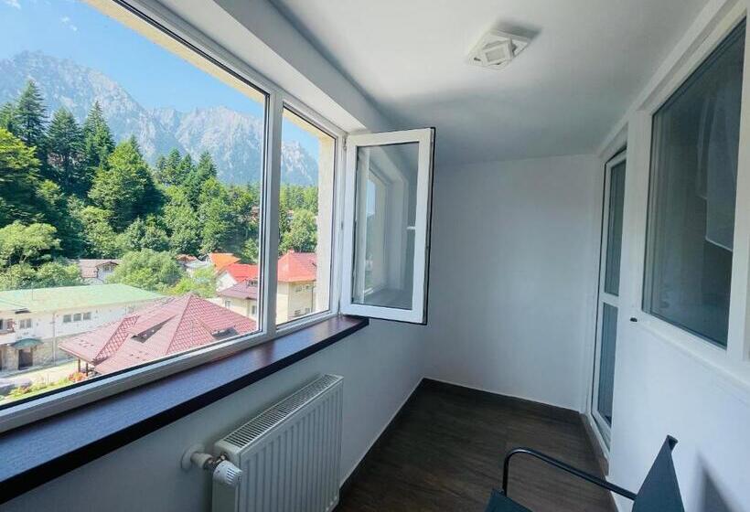 בית מלון כפרי Pensiunea Sport