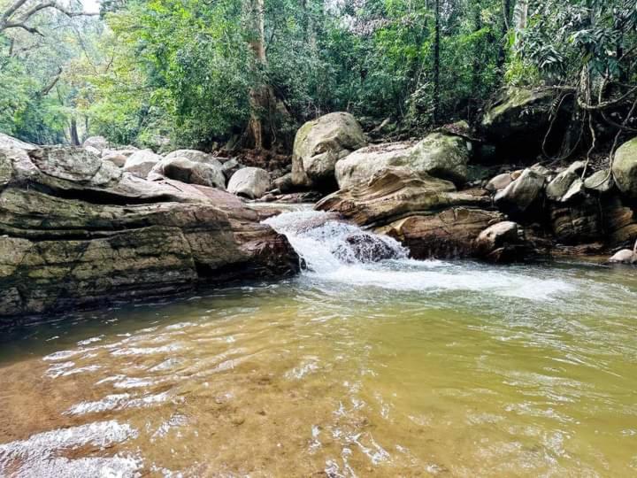 Pension Dinimuthu Rest Inn