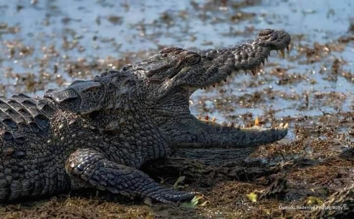 Pensión Dinimuthu Rest Inn