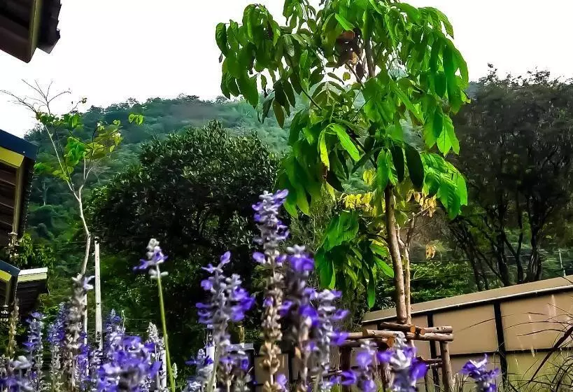 Lomakeskus บ้านโจมเขาใหญ่ Baan Jome Khaoyai