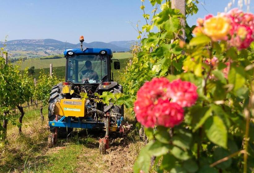 旅馆 La Guest House Della Tenuta Di Tavignano