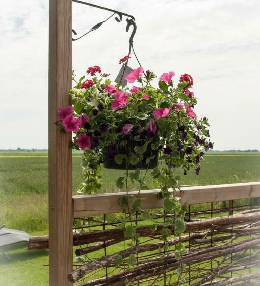 Bed and Breakfast Beleef Het Noorden