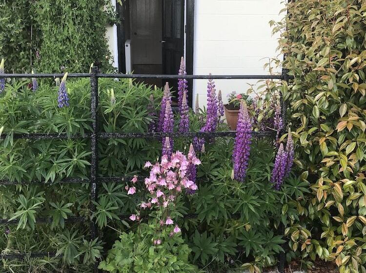 Castle View B&b Morvern