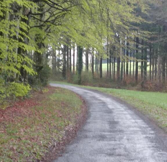 민박 Chambres D Hôtes La Maison De Monsieur Chaussette
