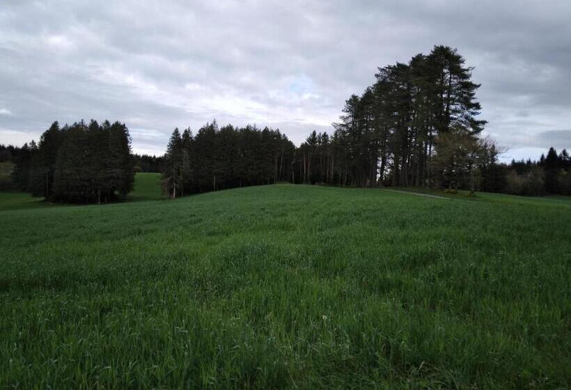 민박 Chambres D Hôtes La Maison De Monsieur Chaussette