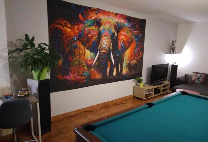 민박 Chambres D Hôtes La Maison De Monsieur Chaussette