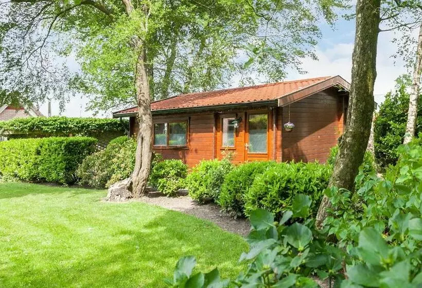 ベッドアンドブレックファースト De Markestee