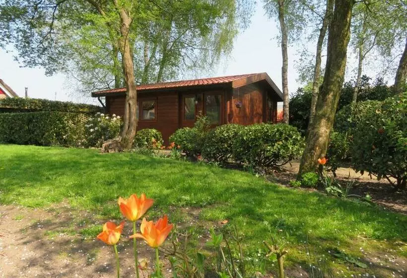 ベッドアンドブレックファースト De Markestee