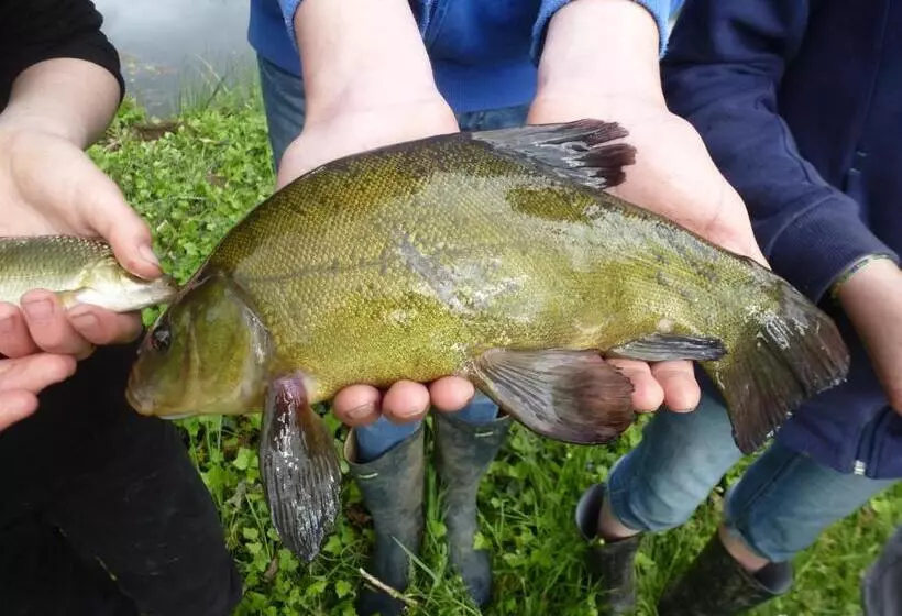 ベッドアンドブレックファースト Domaine De La Clauzade