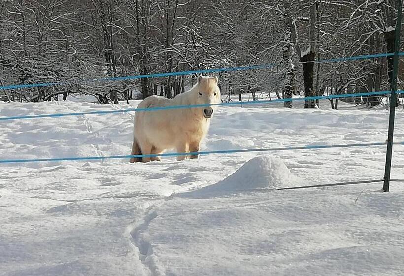 Bed and Breakfast La Grange