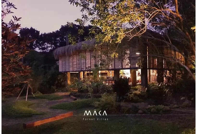 ベッドアンドブレックファースト Maka Kalinaw 6 Wabi Sabi Room, Forest And Garden View