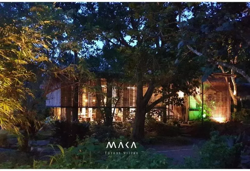 ベッドアンドブレックファースト Maka Kalinaw 6 Wabi Sabi Room, Forest And Garden View